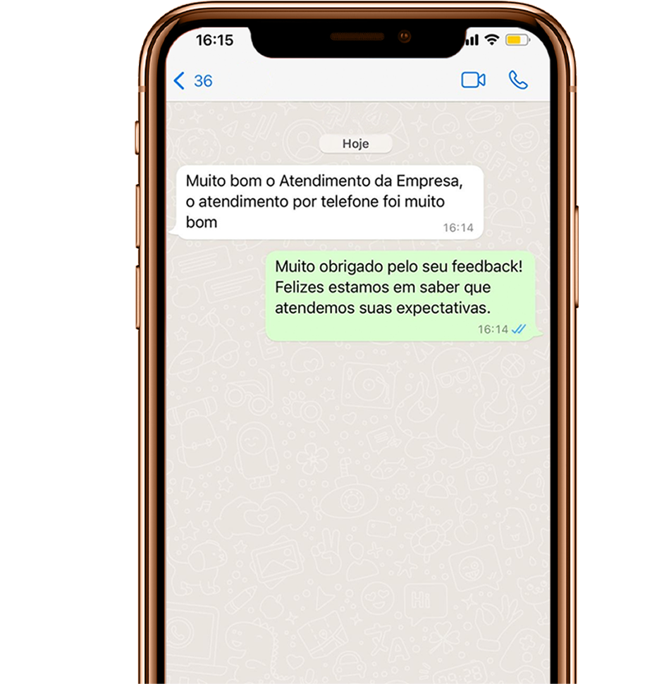 LUISA MENEZES ASSISTENTE VIRTUAL